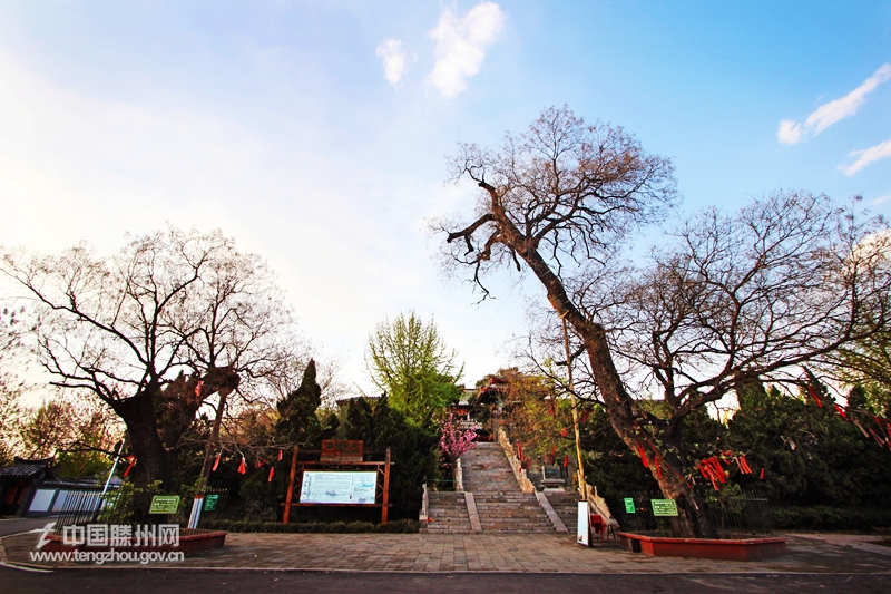 滕國故城